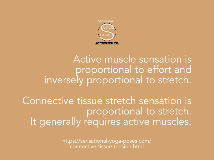 Active muscle sensation is proportional to effort and inversely proportional to stretch. Connective tissue stretch sensation is proportional to stretch. It generally requires active muscles.  Neil Keleher, Sensational Yoga Poses.