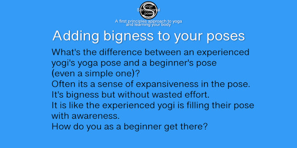 What's the difference between an experienced yogi's yoga pose and a beginners, even a simple yoga pose that doesn't require much flexibility? Often its a sense of expansiveness in the pose. It's bigness but without wasted effort. It is like the experienced yogi is filling their pose with awareness. How do you as a beginner get there? Neil Keleher, Sensational Yoga Poses.