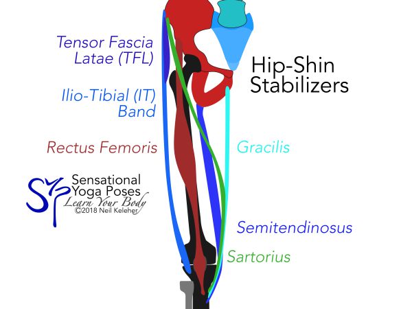 Hip shin stabilizers. Neil Keleher. Sensational Yoga Poses.