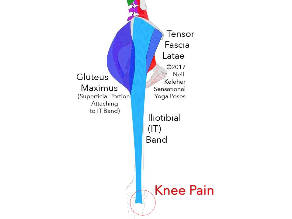 Knee pain can occur where the IT band inserts into the tibia.. Neil Keleher. Sensational Yoga Poses.