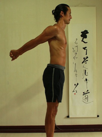 shoulder exercises to help arms behind the back prasarrita padottanasana c arm position, yoga poses