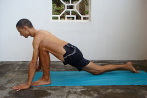 low lunge yoga pose, hip stretch, hip extensor stretch