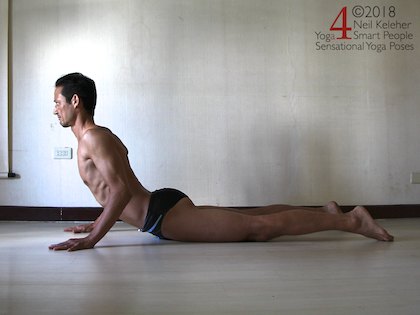 cobra pose. Neil Keleher, Sensational Yoga Poses.