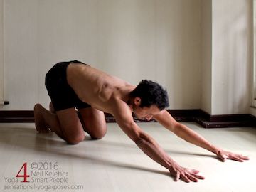 Prone Yoga Poses, on all fours, pushing hips rearwards, Neil Keleher, Sensational Yoga Poses