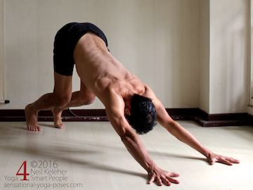 down dog knees bent Neil Keleher, Sensational Yoga Poses.