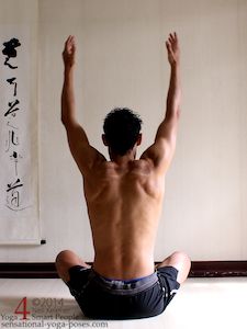 Shoulder awareness exercise, Second postion for activting the trapezius upper and middle fibers. Neil Keleher, Sensational Yoga Poses.