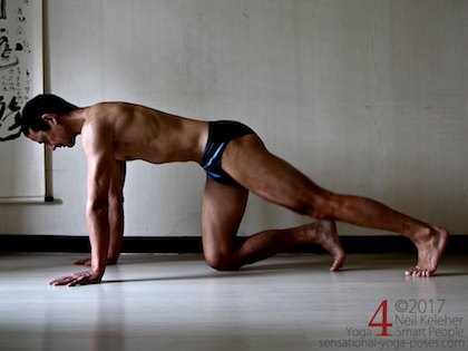 Scapular stabilization, prep exercise for plank. Neil Keleher. Sensational Yoga Poses.
