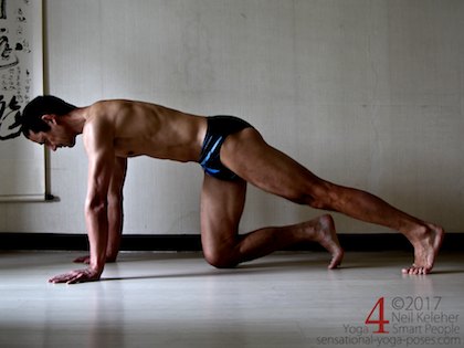 Using plank pose as a hip flexor strengthening exercise. Neil Keleher. Sensational Yoga Poses.