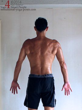 shoulder blades protracted, rear view, Neil Keleher, Sensational Yoga Poses