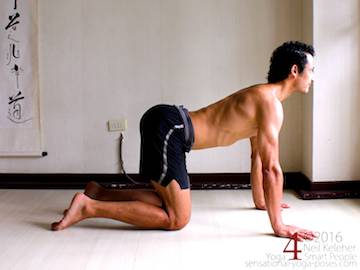 Prone Yoga Poses, on all fours with spine extended, Neil Keleher, Sensational Yoga Poses