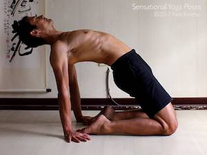 Camel yoga pose, a back bend for the spine and hips. Neil Keleher, Sensational Yoga Poses.