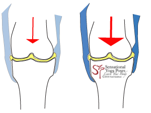 The arrow represents pressure acting on a synovial articular joint. The blue represents muscle activated tension in ligaments and tendons acting on the joint capsule. As pressure is increased (bigger arrow on right) ligament and tendon tension increases so that the joint capsule resists synovial fluid being pressed out from between the bones.