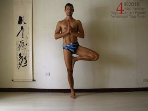 Standing yoga poses: Tree pose.  Weight is centered over the standing foot. Other foot is lifted with knee bent and lifted foot placed against the inner thigh of the standing leg. Torso is upright with head in line with torso. Gaze is directed straight ahead. Hands are together in a prayer position in front of the chest with elbows bent. Neil Keleher. Sensational Yoga Poses.