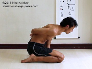 marichyasana e, marichyasana yoga poses, binding yoga poses, seated binding yoga poses, marichyasana type poses