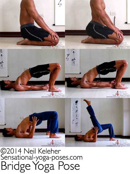 bridge yoga pose mosaic, bridge pose with hands clasped, hands pressing outwards against feet, bridge with elbows bent and forearms vertical, bridge pose with one leg lifted. neil keleher, Sensational Yoga Poses