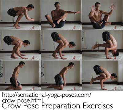 crow pose preparation exercises. Neil Keleher. Sensational Yoga Poses.