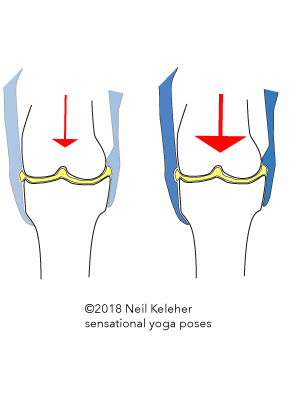 The arrow represents pressure acting on a synovial articular joint. The blue represents muscle activated tension in ligaments and tendons acting on the joint capsule. As pressure is increased (bigger arrow on right) ligament and tendon tension increases so that the joint capsule resists synovial fluid being pressed out from between the bones. Neil Keleher. Sensational Yoga Poses.