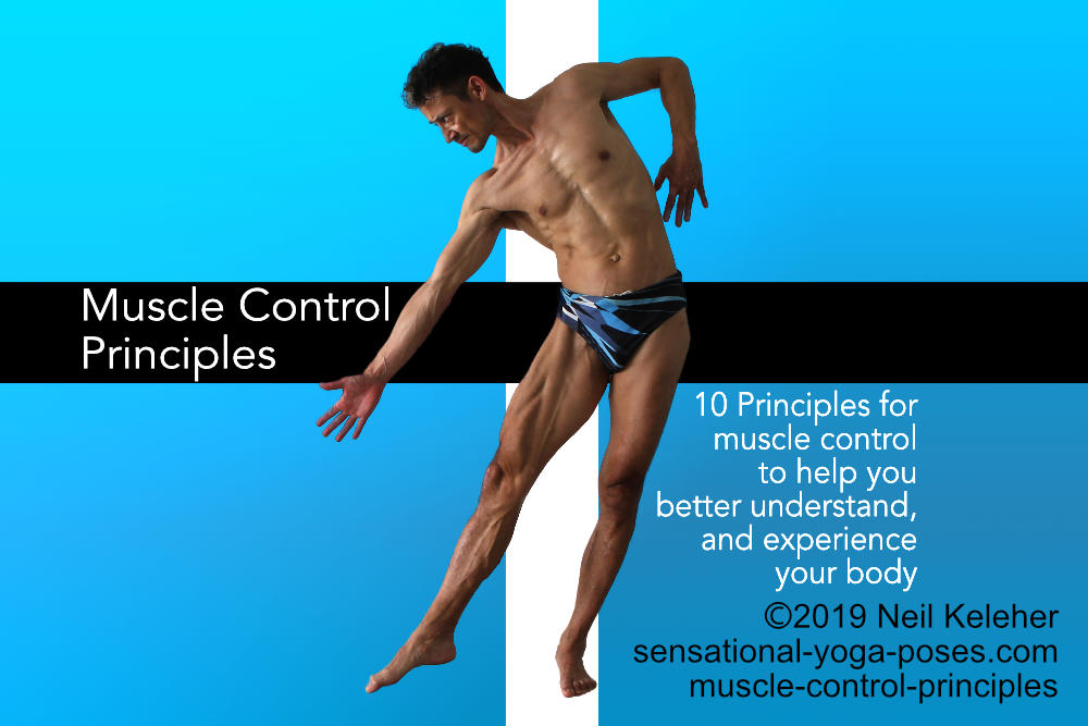 Muscle Control principles. Here you can see the following muscles activated: sartorius, vastus medialis, vastus intermedius, the adductors, gastrocnemius... Neil Keleher, Sensational Yoga Poses.