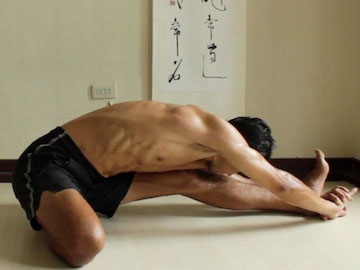 janu sirsasana B prep position, using arms to keep pelvis lifted.