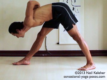 ashtanga yoga poses, utthitta parsvotanasana, right side, reverse prayer pose