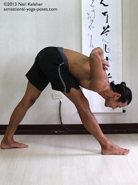 Parsvottansana with hands in prayer behind the back. Both knees are straight in this pose. To get more weight on the back foot push the pelvis rearwards. Reach ribs away from pelvis and pull head way from ribcage. Move shoulders and elbows towards the rear of the body so that you open up the front of the upper body. Sensational Yoga Poses, Yoga Notes, Neil Keleher.