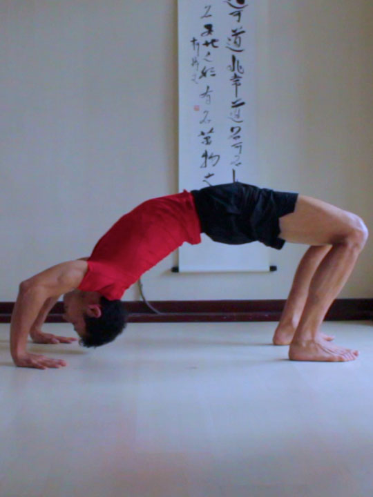 wheel pose, chakrasana or urdhva dhanurasana, lifting head off a little bit off of floor