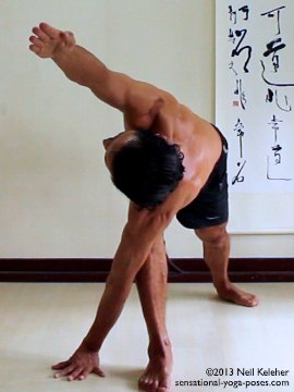 ashtanga yoga poses, pravirtta parsvokonasana, revolving side angle yoga pose right side