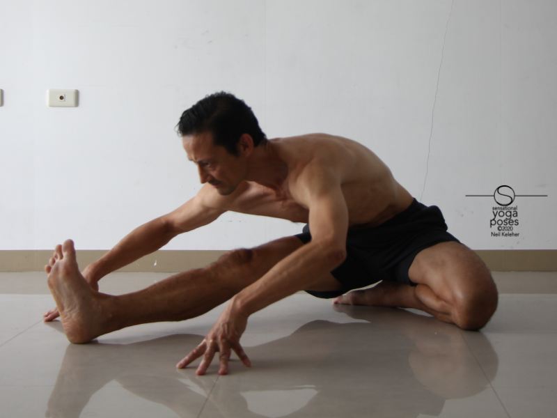 Janusirsasana b with hands on floor. Neil Keleher, Sensational Yoga Poses.