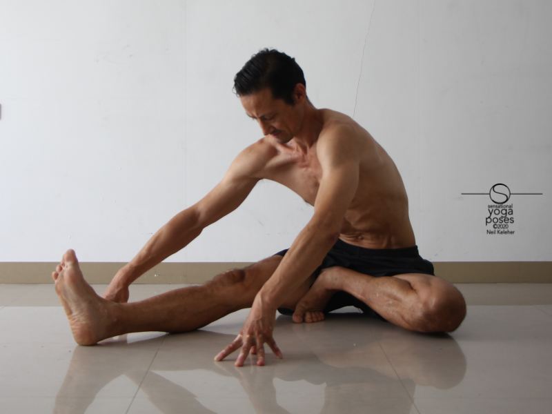 Janusirsasana c with hands on floor Neil Keleher, Sensational Yoga Poses.