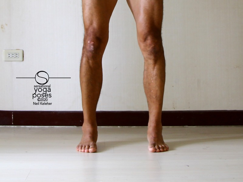 Shins rotated to neutral relative to feet. Neil Keleher, Sensational Yoga Poses.