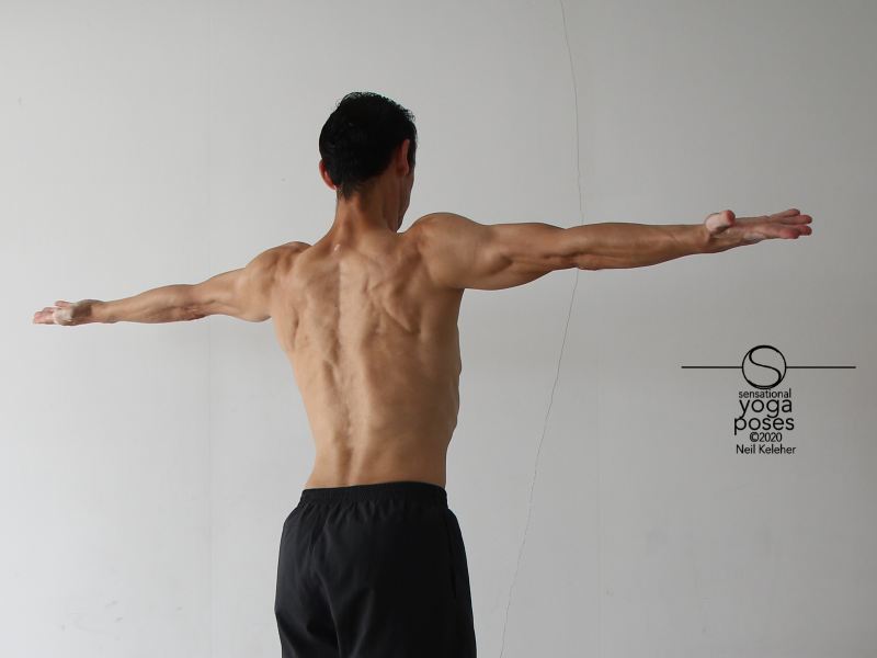 arms to side, back view, externally rotated, rotator cuff exercises, shoulder exercises, arm rotations