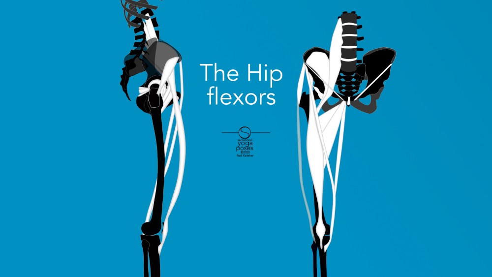 The better you understand your hip flexors the easier it is to stretch them, strengthen them, remedy problems and otherwise use them. Neil Keleher, Sensational Yoga Poses.