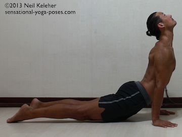 In upward dog, start in a belly down position with feet hip width. To enter this backbending yoga pose, bend the thoracic and lumbar spine backwards and then use the arms, push up style, to lift the ribcage. Initially start with neck straight. Straighten the knees and push the feet into the floor. Pull the pelvis forwards and down. Use the arms to push the ribcage up and back. Spread the shoulder blades and externally rotate the arms so that biceps move outwards. Make the neck feel long and if comfortable tilt the head backwards. Neil Keleher. Sensational Yoga Poses.