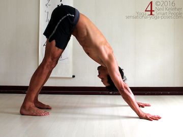 Yoga poses for ab, down dog with abs engaged, neil keleher, sensational yoga poses.