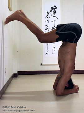 inverted yoga poses, balancing in headstand while using the wall. In this picture hands are clasped behind the head with head and forearms on the floor. Elbows are about shoulder width apart. Feet are just touching the wall with weight over the head and elbows. In this position I am virtually balanced on  my head and forearms. I should be able to take my feet of off the wall easily. Neil Keleher. Sensational Yoga poses.