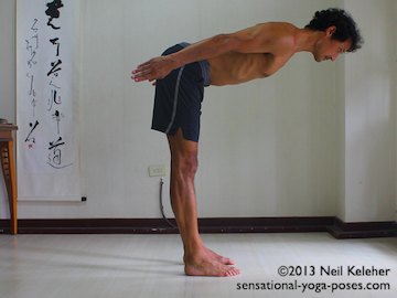standing forward bend with spine horizontal, psoas activation