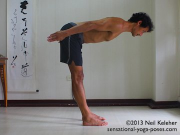 standing forward bend with spine horizontal, psoas activation
