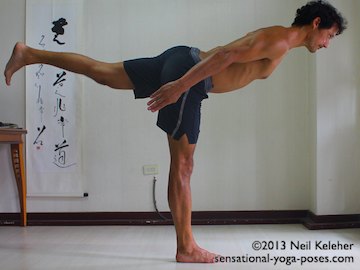 standing forward bend balancing on one leg with spine horizontal, warrior 3 with arms back, psoas activation