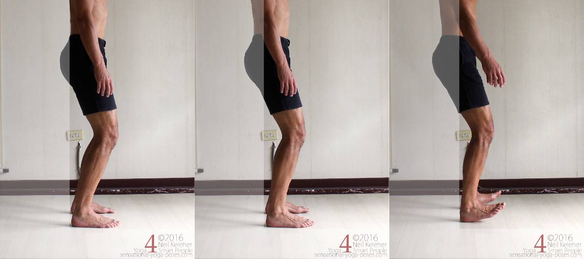 Shift weight backwards while standing so that the point of greatest pressure is at your heels, then lift your forefeet.