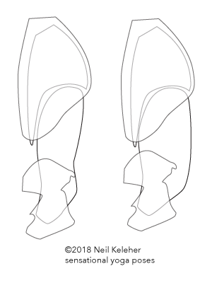 How joints resist compression