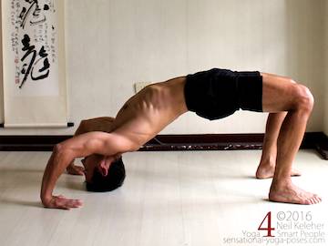 Supine Yoga poses,wheel pose push up, neil keleher, sensational yoga poses.