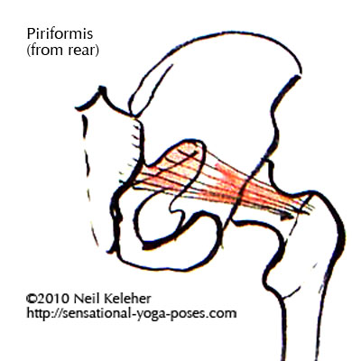 piriformis, low back pain