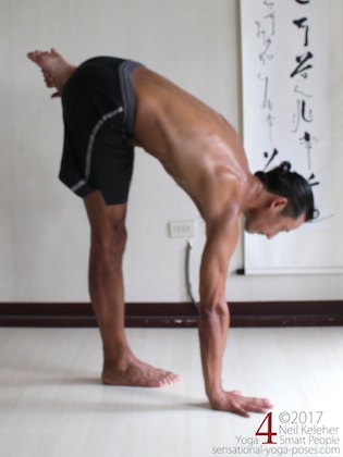 substitute for half bound lotus standing forward bend, ardha baddha padmottanasana substitute