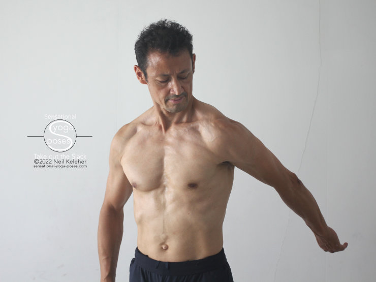 Using pec minor to pull down on coracoid process so that top of shoulder blade moves forwards as if tipping shoulder blade over ribcage. Arm is reaching back. Neil Keleher, Sensational Yoga Poses.