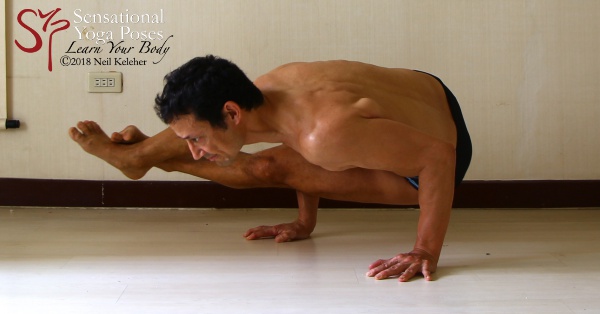 4 essentials for arm balances - Ekhart Yoga