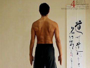 arms down back view, rotator cuff exercises, shoulder exercises, arm rotations