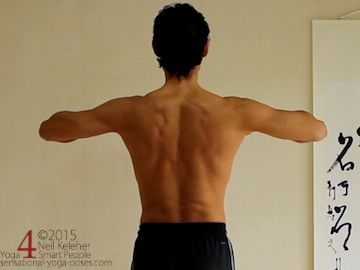 arms to side, elbows bent, back view, rotator cuff exercises, shoulder exercises, arm rotations
