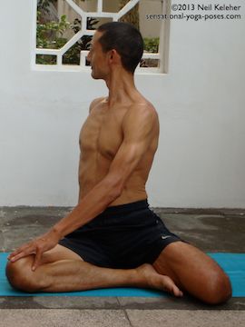 baradvajrasana, sage pose, easy version with foot to inner thigh