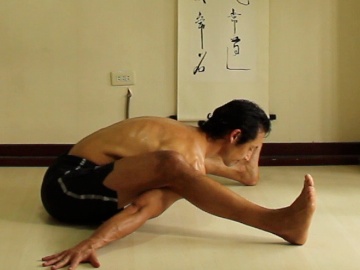 ashtanga yoga poses, kurmasana