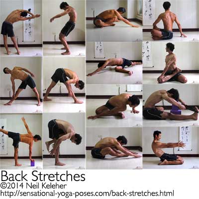 back stretches: standing side bend, standing spinal forward bend, triangle pose, parsvotonasana, half moon pose, one legged standing forward bend, seated forward bending side bend, twisting yoga pose, pigeon variation, bharadvajasana, pigeon pose hip stretch, seated forward bend, wide leg bound angle pose, bent back hero pose, neil keleher, sensational yoga poses.